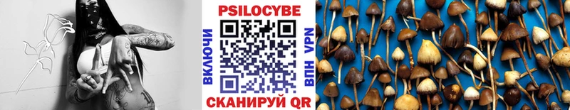 где купить   Таштагол  ссылка на мегу вход  Псилоцибиновые грибы MAGIC MUSHROOMS 